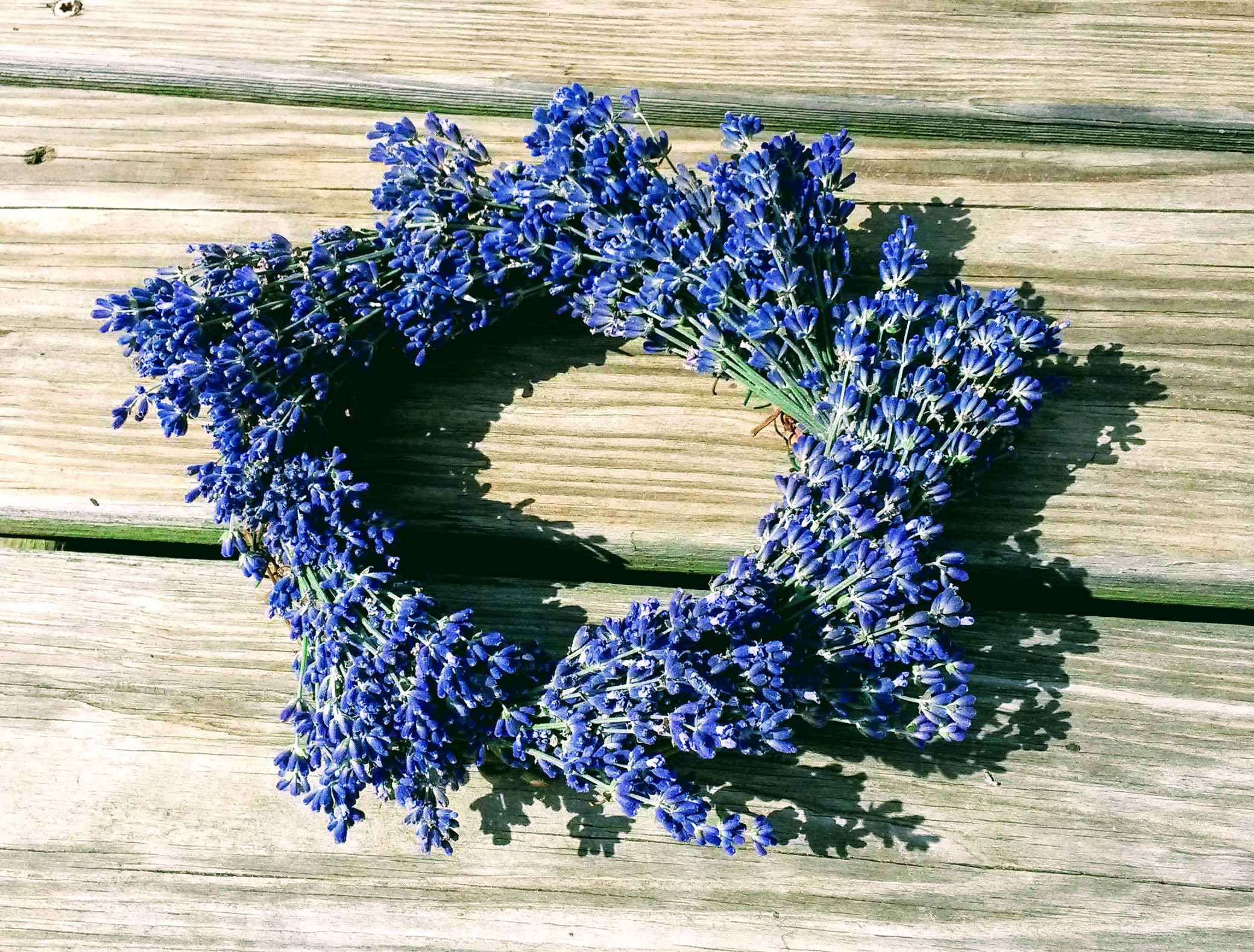 Learn How to Make a Dried Lavender Wreath