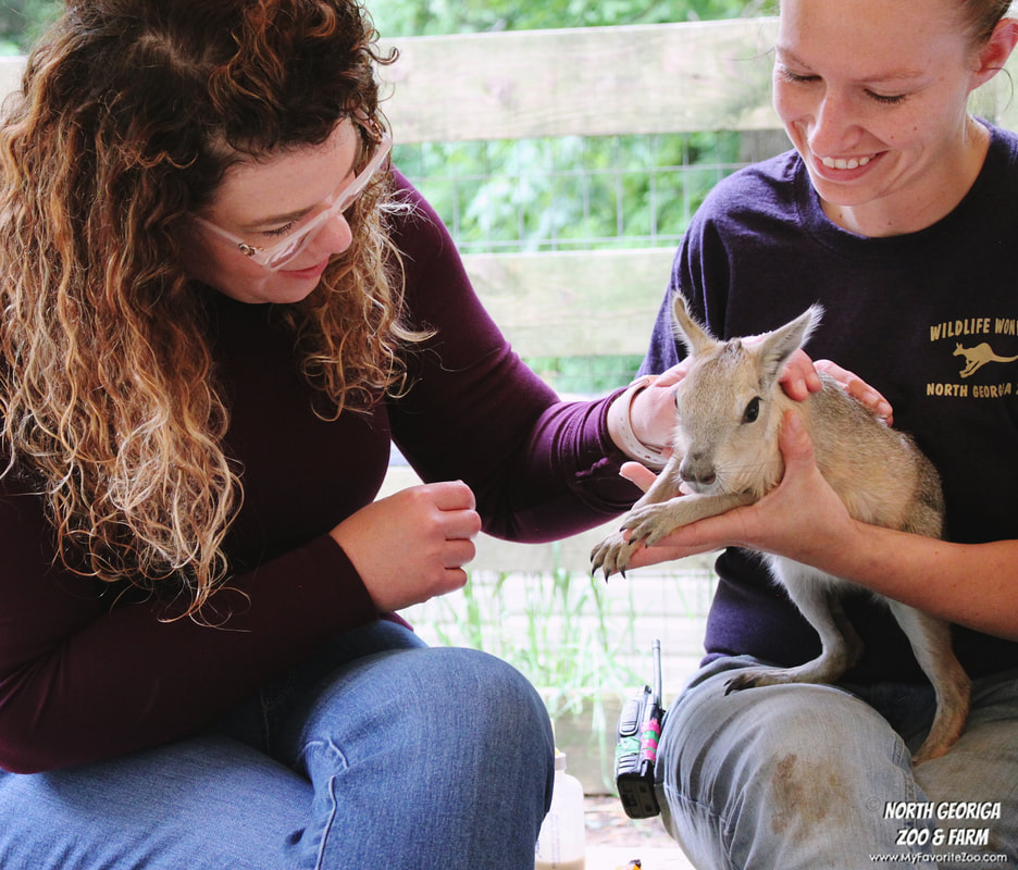 two women holding an animal