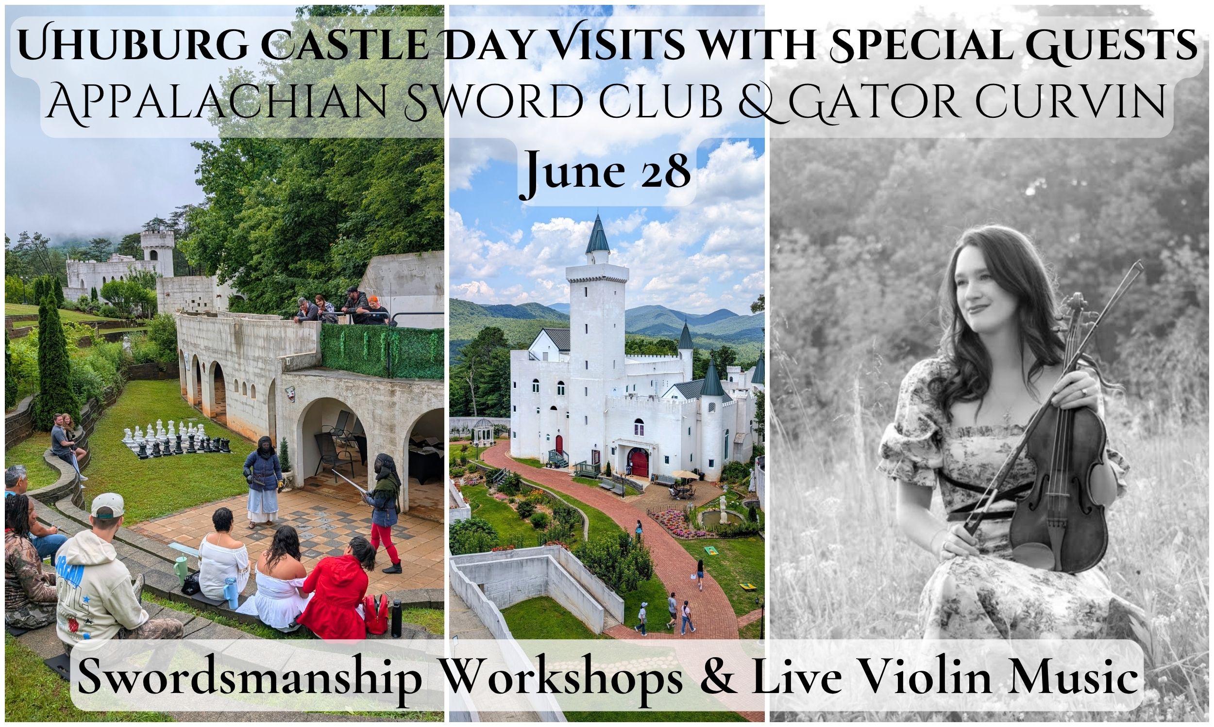 Violin and Swordsmanship