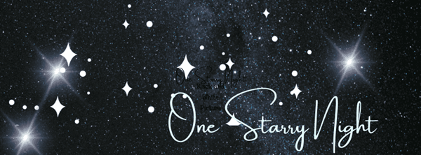 OneStarryNight (1)