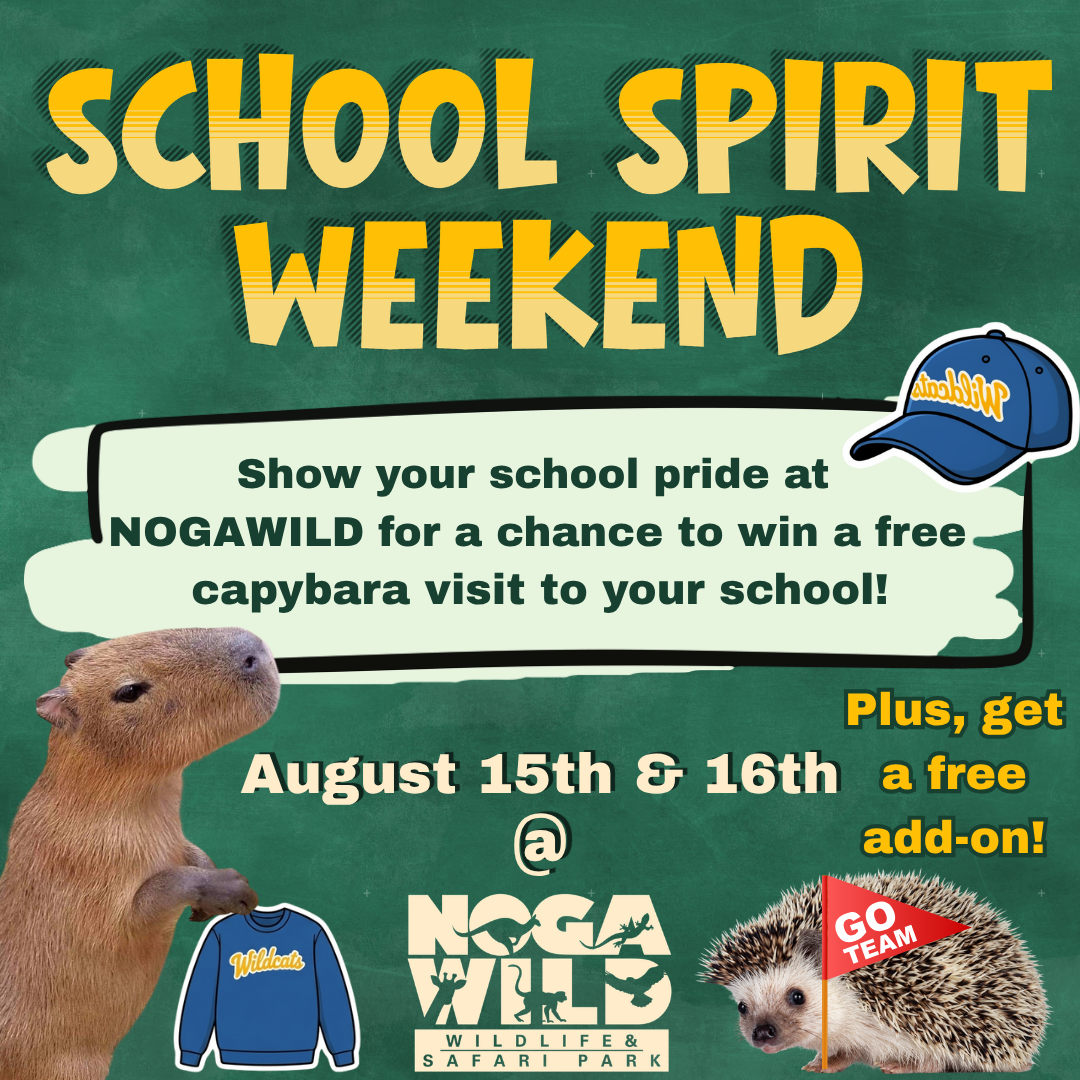 School Spirit Weekend (1)